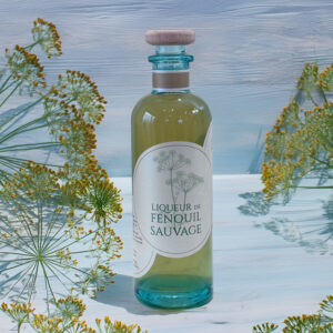 bouteille de liqueur bio de fenouil sauvage le jardin de Mazaalaï posée sur une table entourée de branches de fenouil sauvage