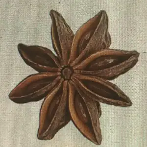 Logo L'Etoile BIO - Quissac