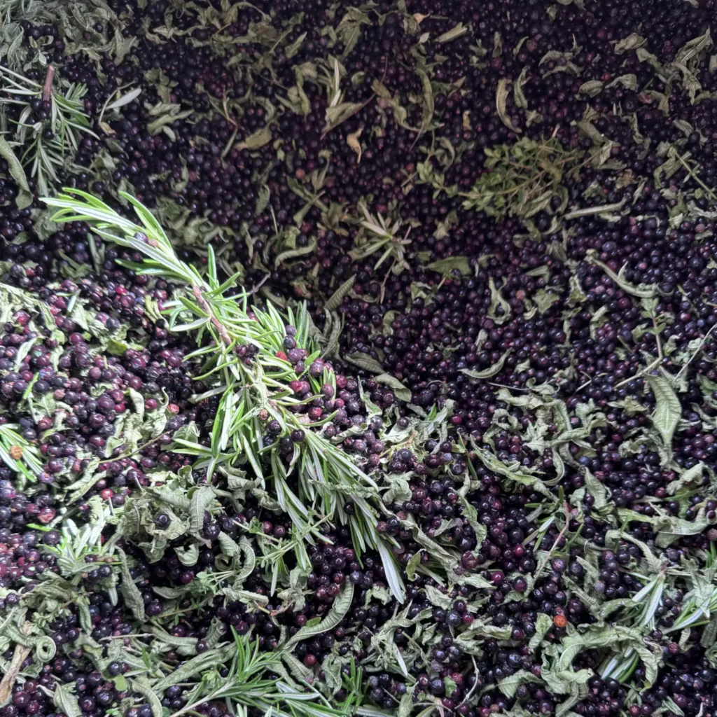 notre jardin bio 1539
